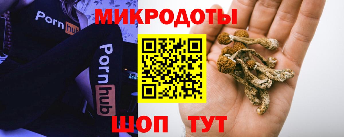 Мценск  Галлюциногенные грибы Psilocybine cubensis  где можно купить   Вход с VPN 